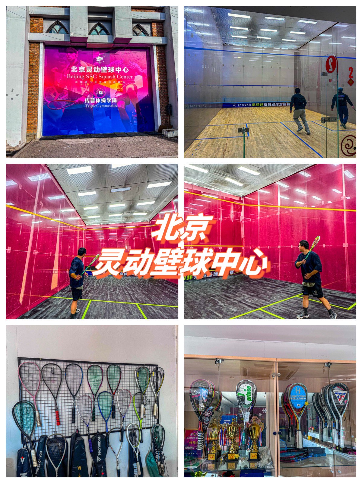 关于室内壁球巡回赛，运动新体验的信息