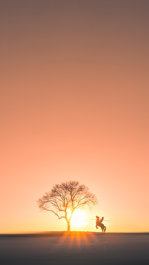 意甲:米兰双雄激战,积分差距已缩小到1分,米兰豪取6连胜登顶意甲