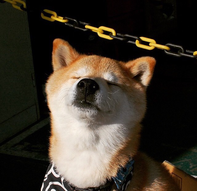 意甲：米兰双雄激战，积分榜尘埃落定前的关键战役，米兰意甲多少场不败了