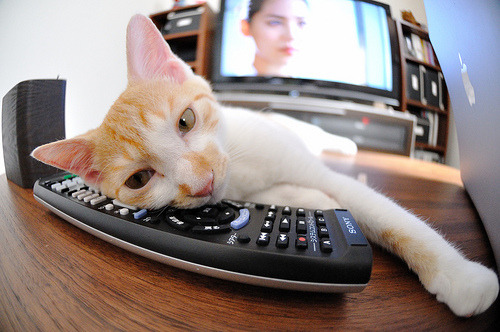 青少年“篮球梦想起航”大型公益赛在北京盛大举行，点燃青春热情