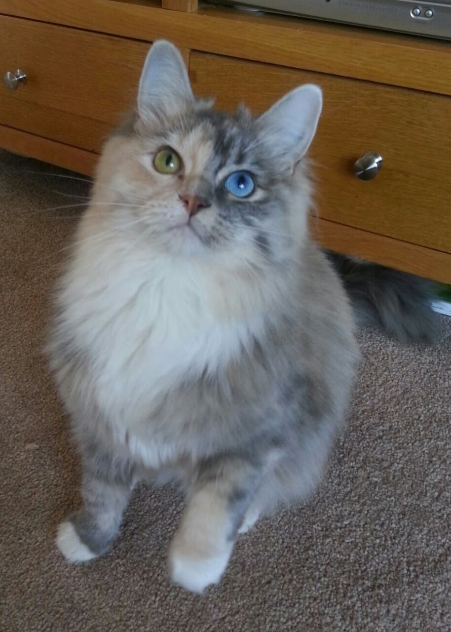 开云入口-青少年“篮球节”在广州开启，开启体育+文化新篇章，广州青少年篮球队