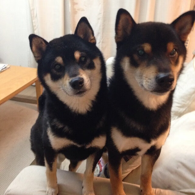 LPL季后赛对阵形势分析，lpl季后赛局势分析