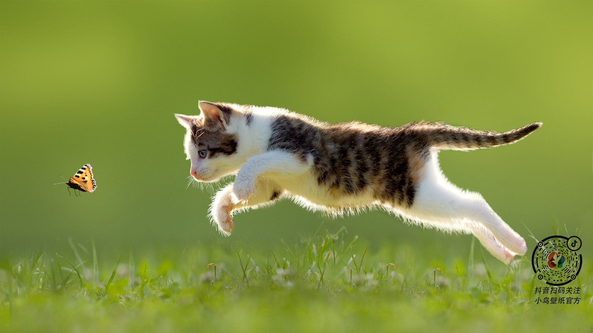 圣吉卢瓦联队在比甲联赛中表现出色,接近夺冠。,圣吉奥是什么意思