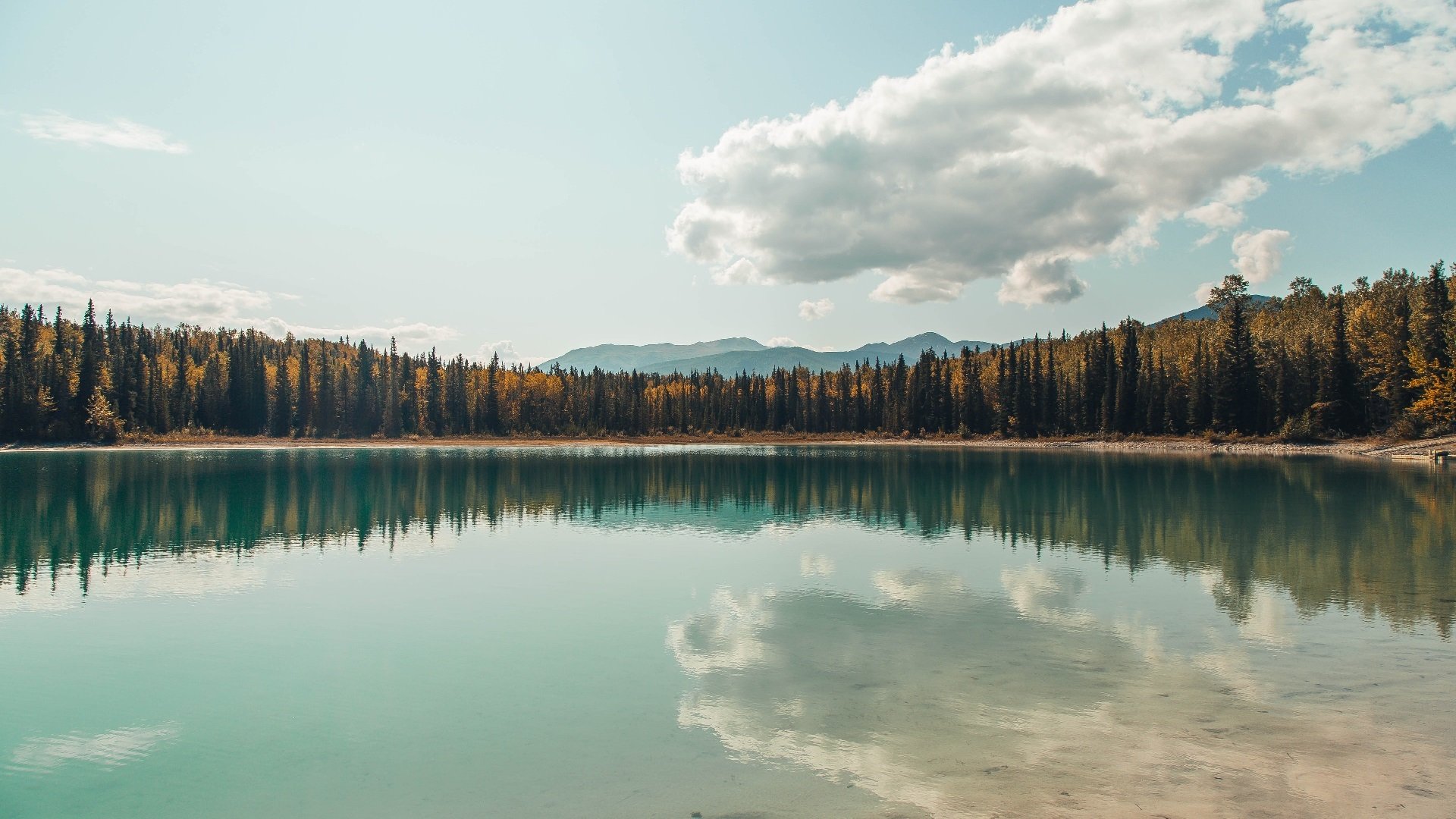 比赛选手英勇争先,力争出彩,争勇竞先