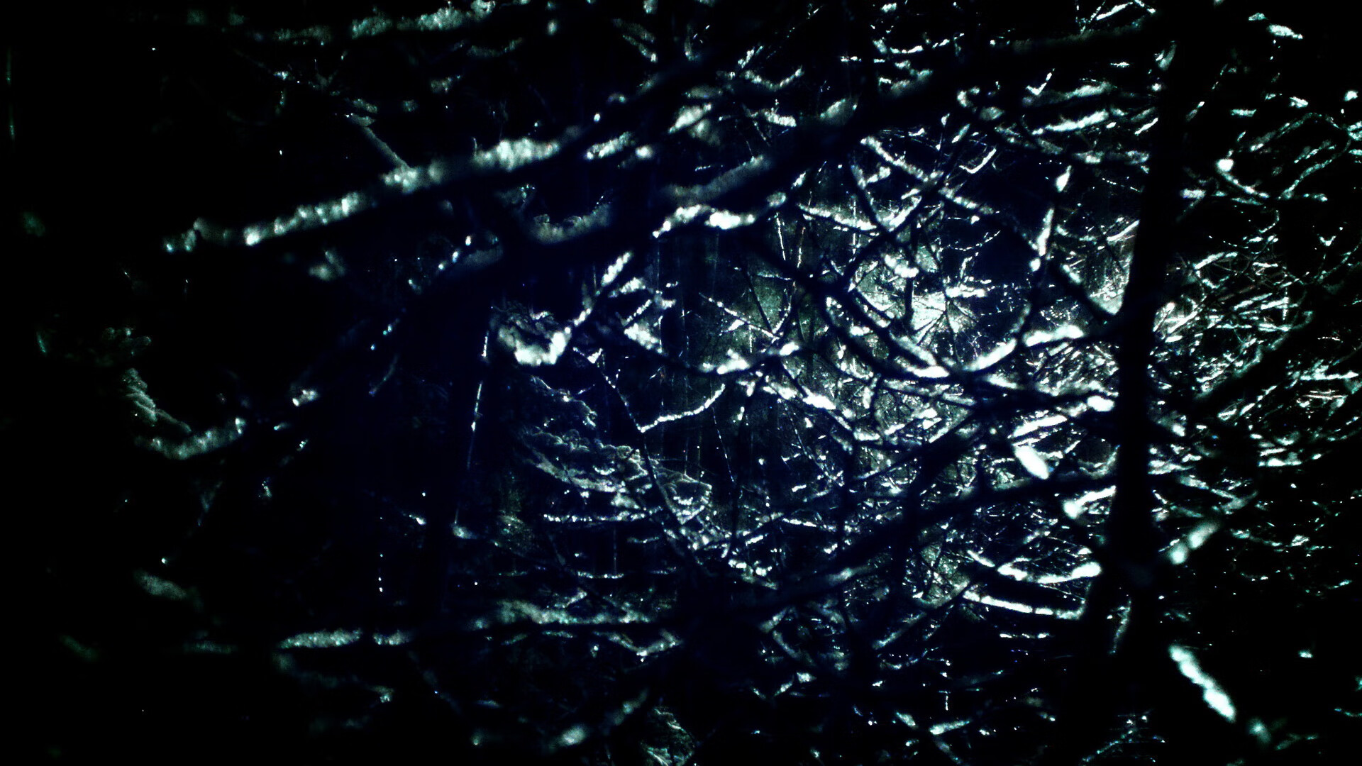 骑士队实力逐渐增强，全员备战名副其实，骑士队的队员名单名字