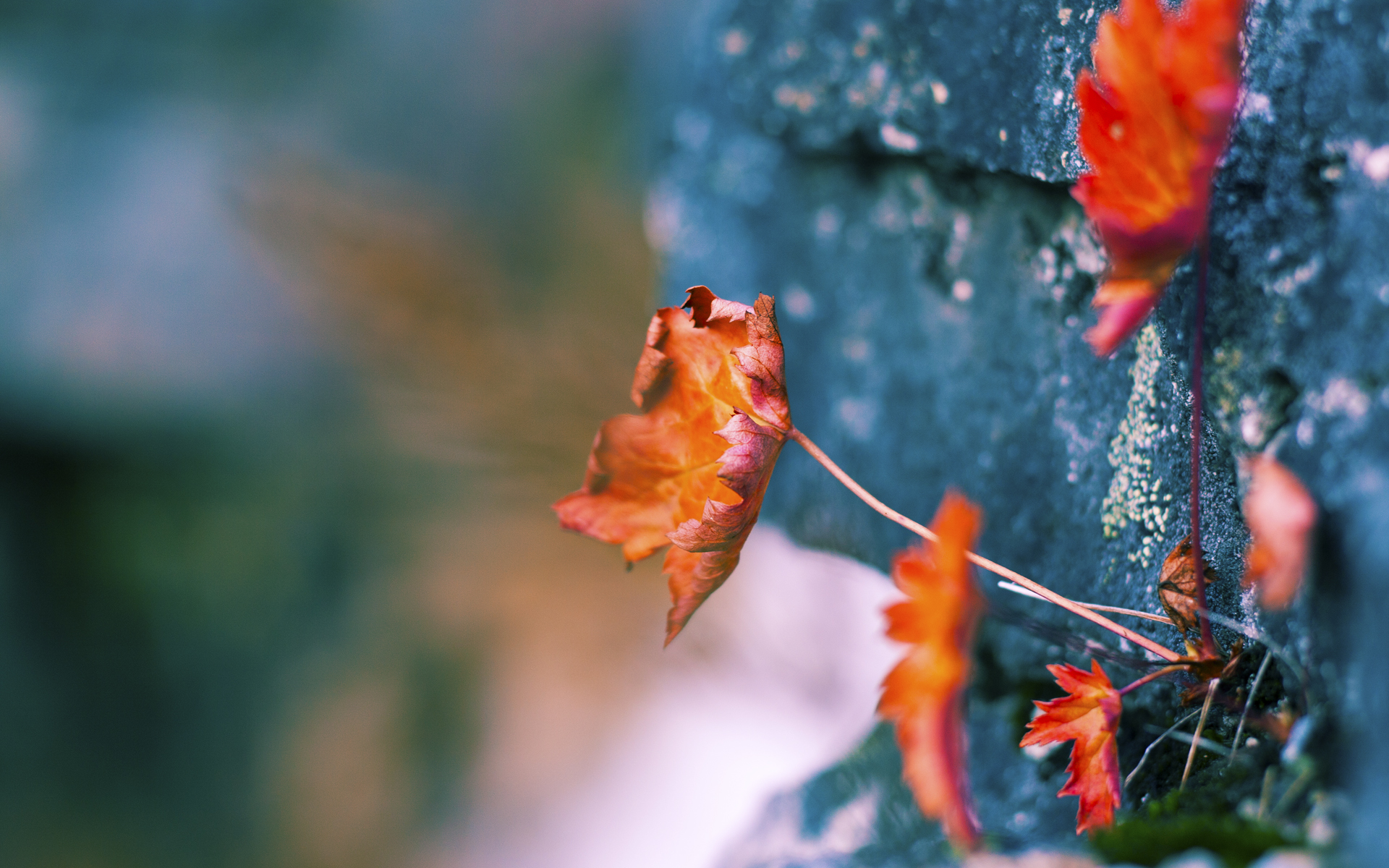 体育科研成果产业化应用,体育产业科工作总结