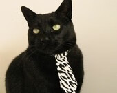 意甲青训体系引入战术应激干预模型提升临场表现一致性,意甲本队青训