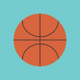 开云官方网页登录-篮球运动信息化管理平台设计与应用，篮球信息app