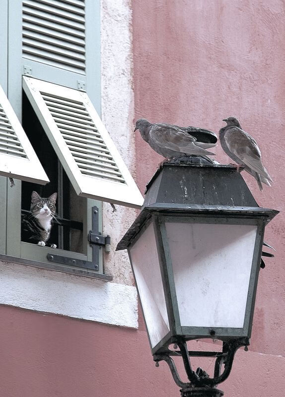 FIBA排名约133位，全球竞争力尚弱，fiba球队排名