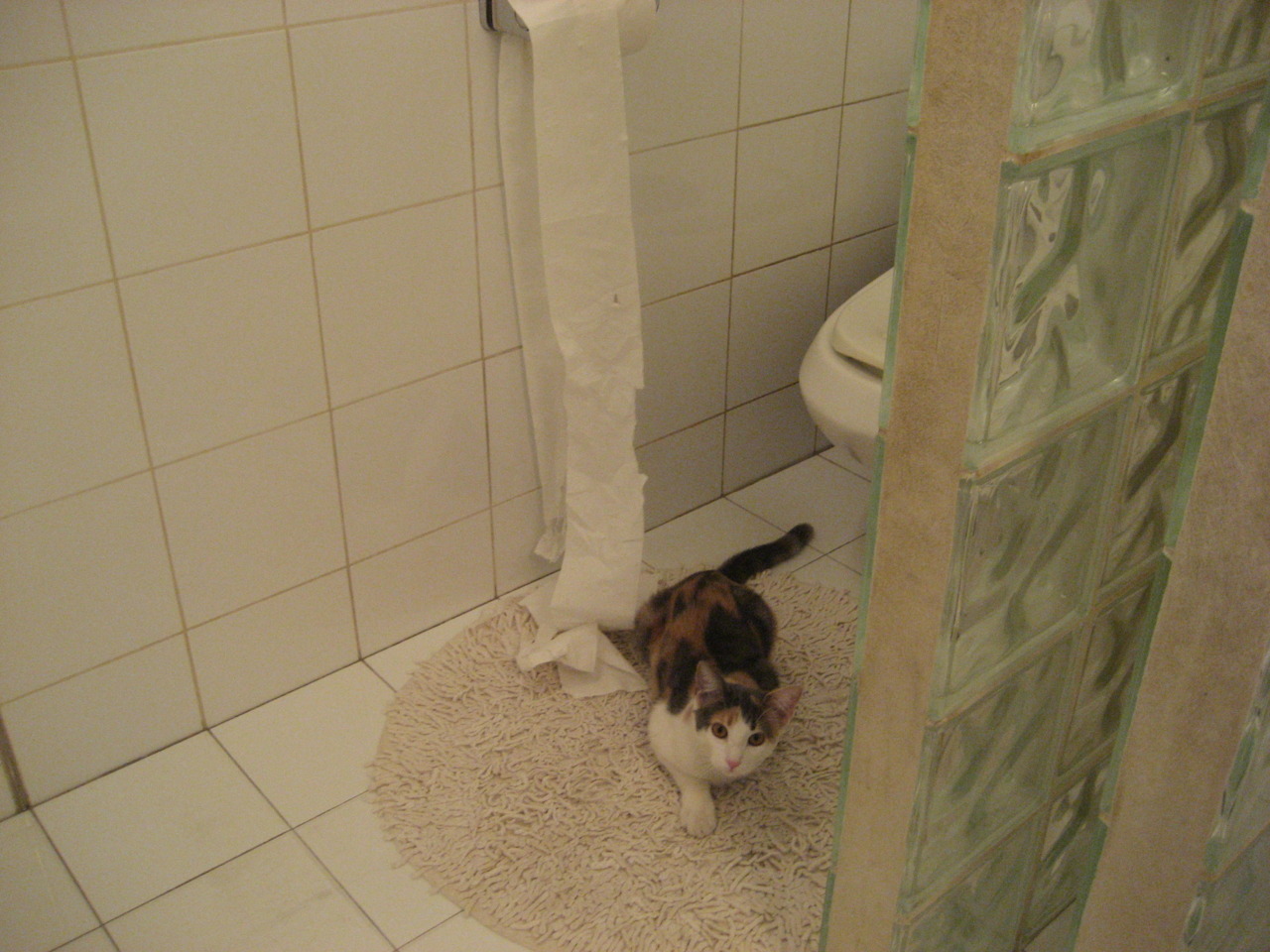 开云-五大联赛球队在面对欧战时的战术选择差异，五大联赛欧战积分规则