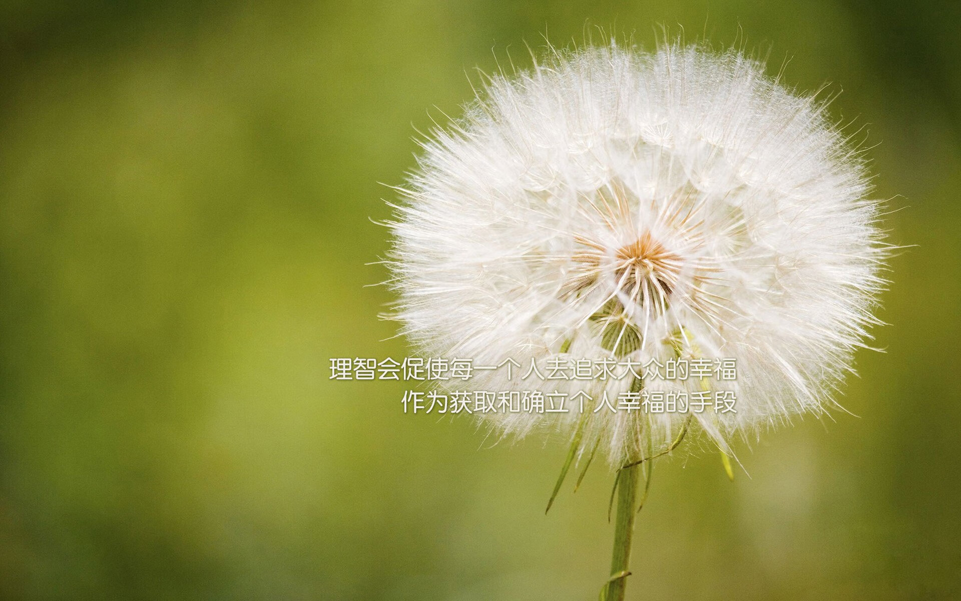 球星在不同节奏下的表现是否一致,各球星的区域