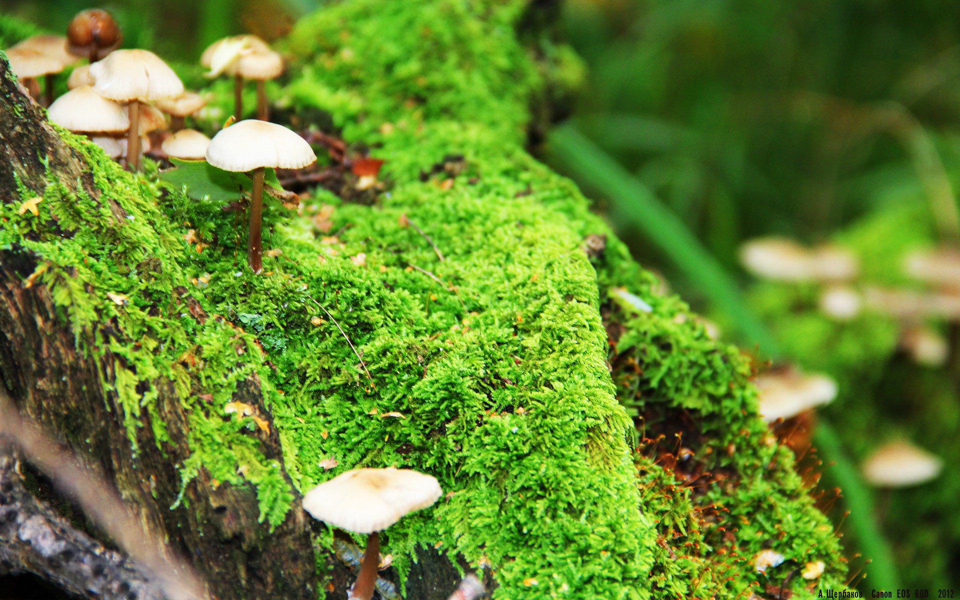 青训人才流动机制打通发展通道,青训选拔机制