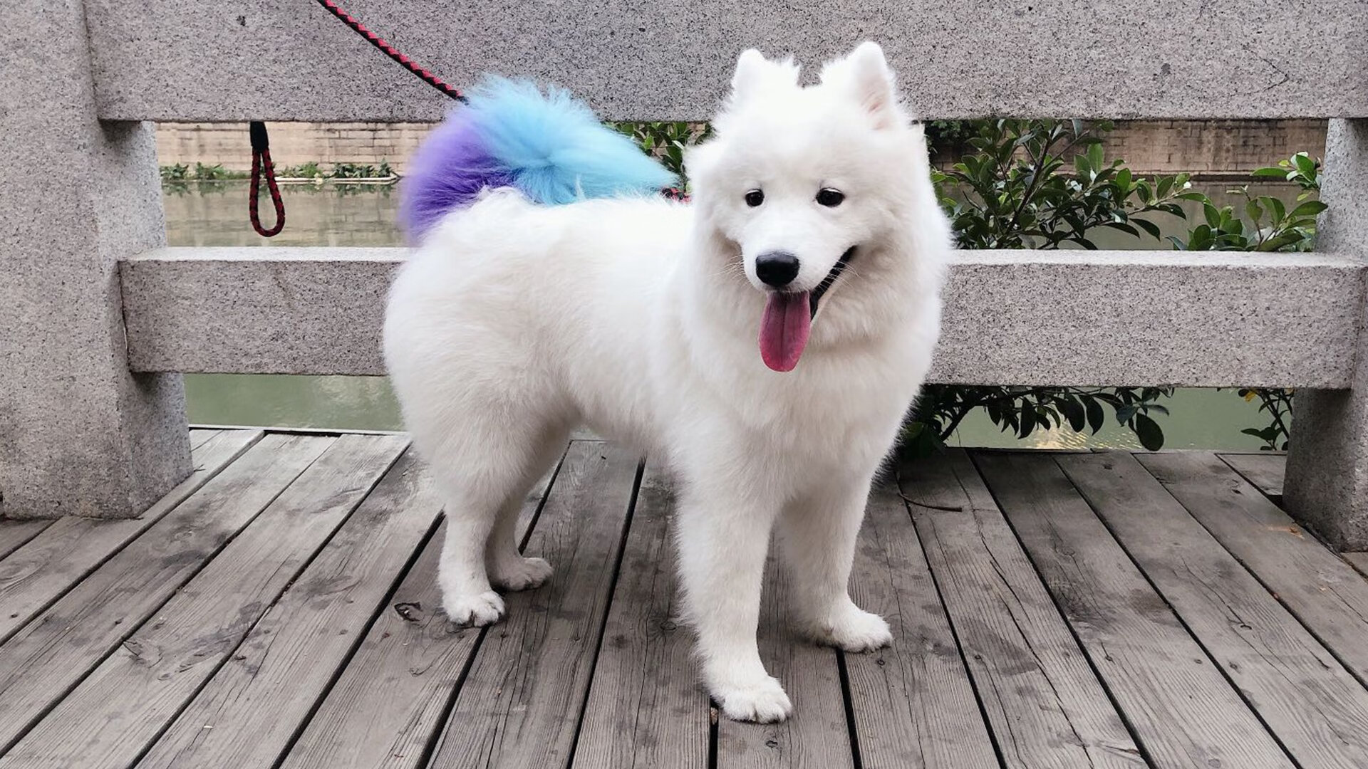 开云入口-拉恩：全黑队外线闪电，突破对方防线犹如风驰电掣，拉恩卡在哪