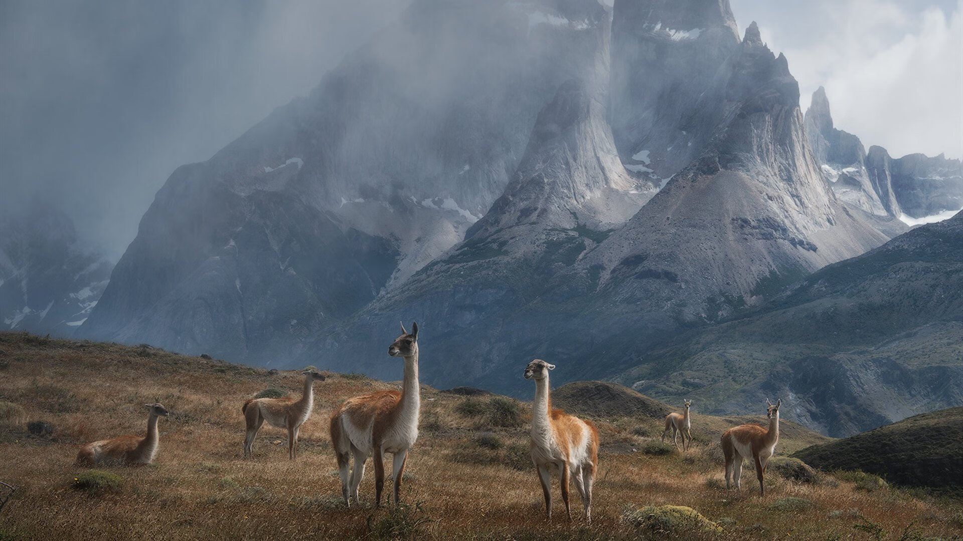 水球快攻奥地利打出气势,奥地利开球