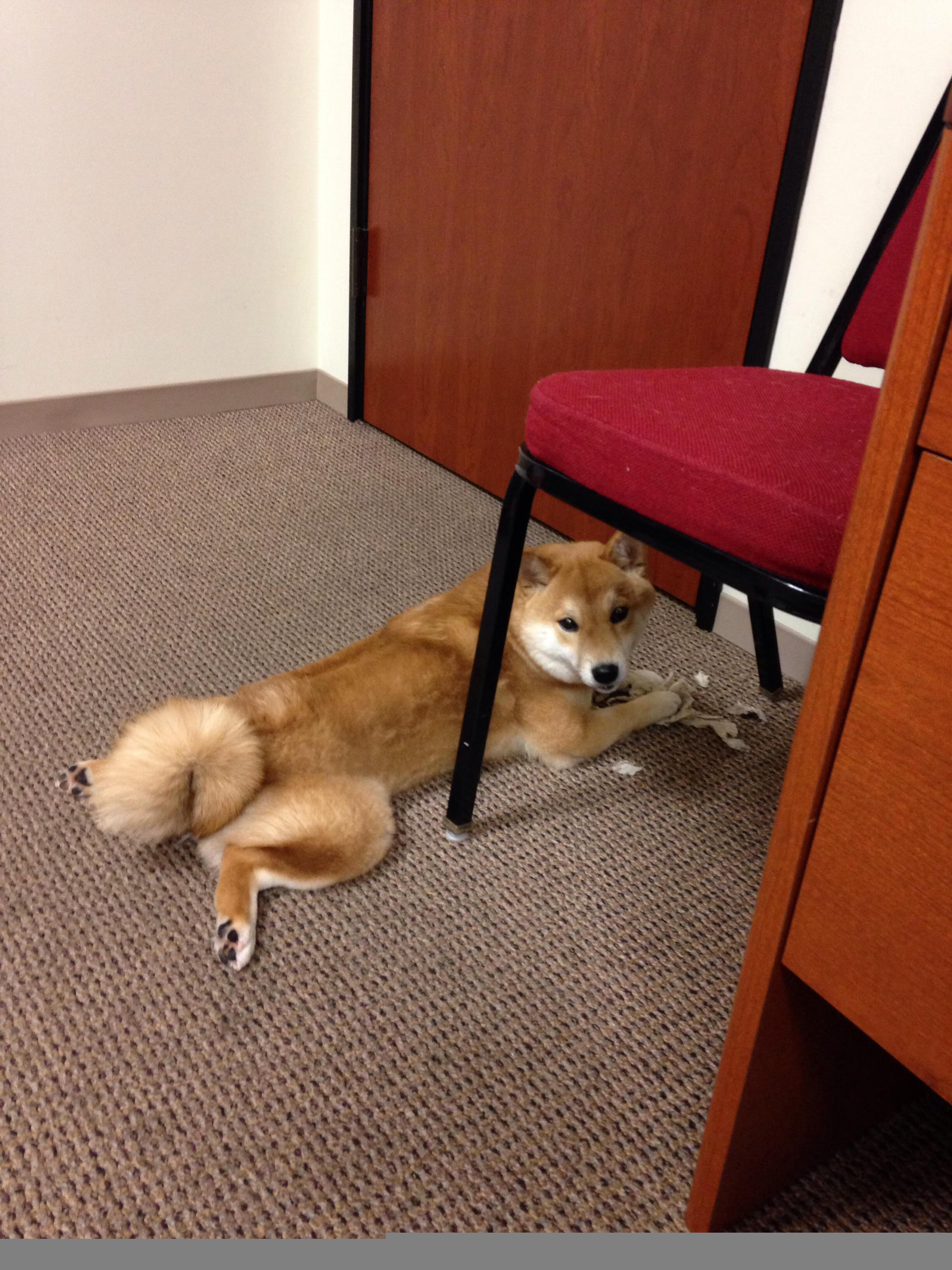 开云·体育官网-马克·阿特金森：作为南非队的突破核心，成功化解了攻防两端的压力